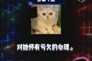 娱乐圈八卦吃瓜文档,娱乐圈八卦风云录